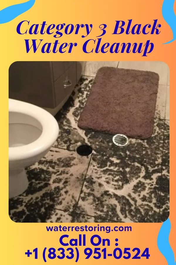 Category 3 Black Water Cleanup in Clinton, IA