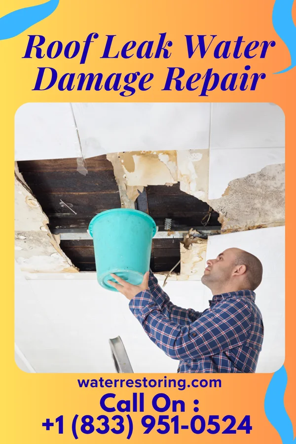 Roof Leak Water Damage Repair in Clinton, IA